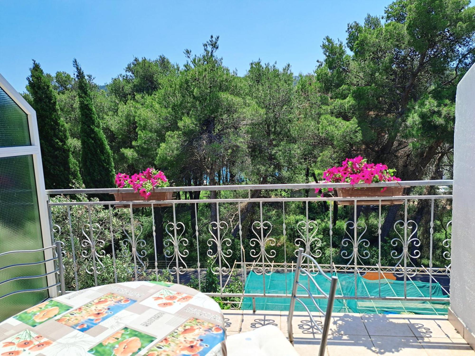 Apartments 1000 Flowers Stari Grad  Δωμάτιο φωτογραφία